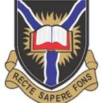 Peers Alley Media 226