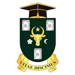 Peers Alley Media 232