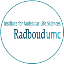 Peers Alley Media 71