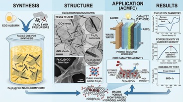 Egg albumin mediated rGOFe3O4 nano-rods for self assembled macro porous biohybridized hydrogel anode for the applications of microbial fuel cells