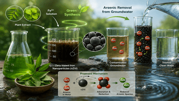 Green Synthesis of Zero-Valent Iron Nanoparticles for Arsenic Removal from Groundwater Mechanistic and Kinetic Insights