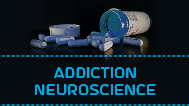 Peers Alley Media: Addiction Neuroscience