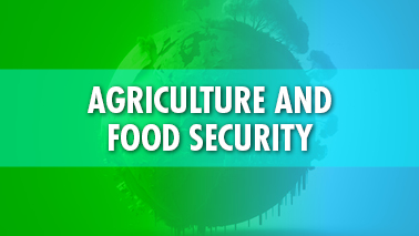 Peers Alley Media: Agriculture and Food Security