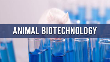 Peers Alley Media: Animal Biotechnology