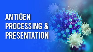 Peers Alley Media: Antigen Processing and Presentation