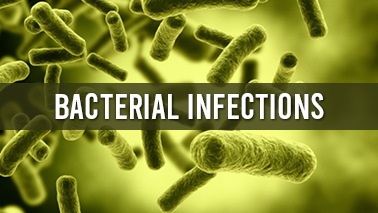 Peers Alley Media: Bacterial Infections