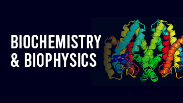 Peers Alley Media: Biochemistry and Biophysics