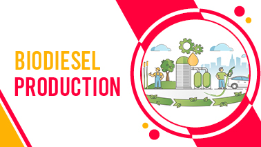 Peers Alley Media: Biodiesel Production