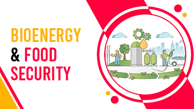 Peers Alley Media: Bioenergy and Food Security