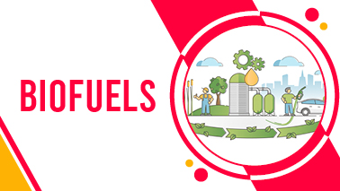 Peers Alley Media: Biofuels