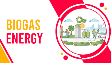 Peers Alley Media: Biogas Energy