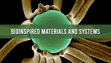 Peers Alley Media: Bioinspired Materials and Systems