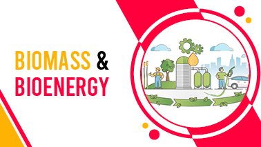 Peers Alley Media: Biomass and Bioenergy