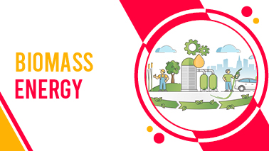 Peers Alley Media: Biomass Energy