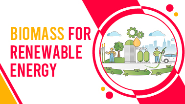 Peers Alley Media: Biomass for Renewable Energy