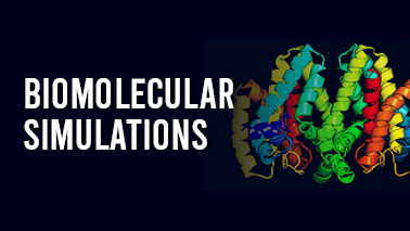 Peers Alley Media: Biomolecular Simulations