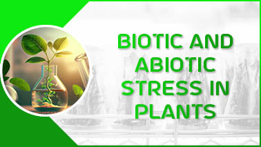 Peers Alley Media: Biotic and Abiotic Stress in Plants