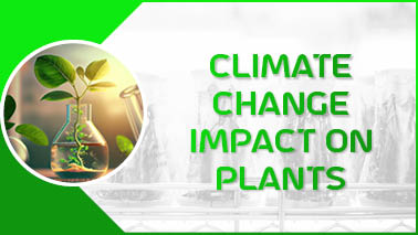 Peers Alley Media: Climate Change Impact on Plants