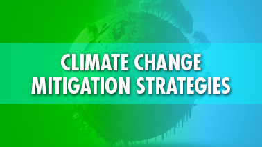Peers Alley Media: Climate Change Mitigation Strategies