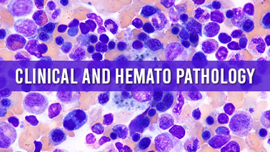 Peers Alley Media: Clinical and Hemato Pathology
