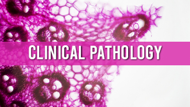 Peers Alley Media: Clinical Pathology