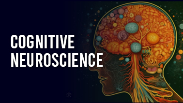 Peers Alley Media: Cognitive Neuroscience 