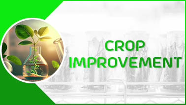 Peers Alley Media: Crop Improvement