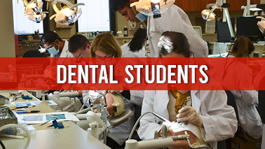 Peers Alley Media: Dental Students