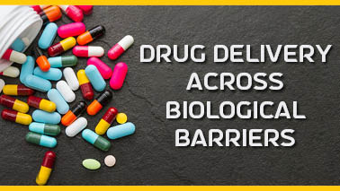 Peers Alley Media: Drug Delivery across Biological Barriers