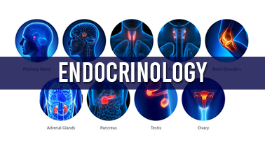 Peers Alley Media: Endocrinology