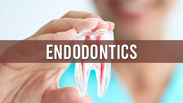 Peers Alley Media: Endodontics