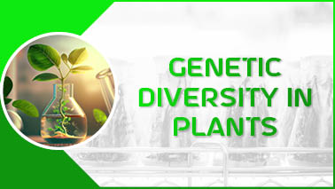 Peers Alley Media: Genetic Diversity in Plants