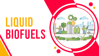 Peers Alley Media: Liquid Biofuels