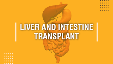 Peers Alley Media: Liver and Intestine Transplant