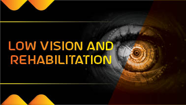 Peers Alley Media: Low Vision and Rehabilitation