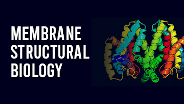 Peers Alley Media: Membrane Structural Biology