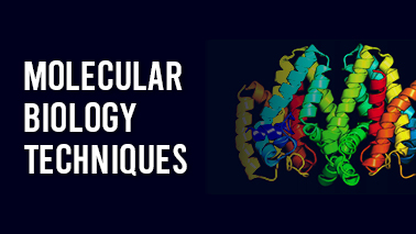 Peers Alley Media: Molecular Biology Techniques
