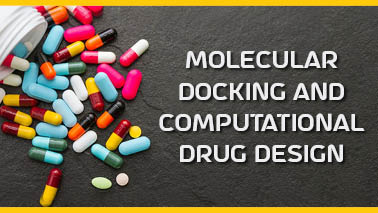 Peers Alley Media: Molecular Docking and Computational Drug Design
