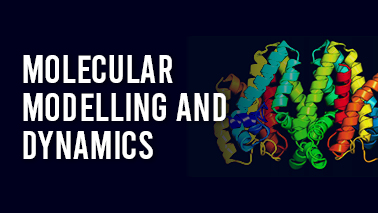 Peers Alley Media: Molecular Modelling and Dynamics
