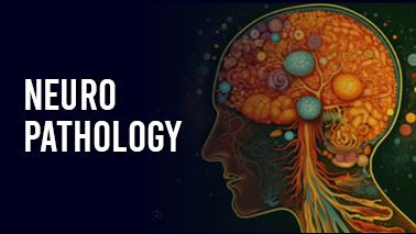 Peers Alley Media: Neuropathology