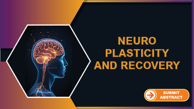 Peers Alley Media: Neuroplasticity And Recovery Peers Alley Media: Neuroplasticity And Recovery