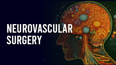 Peers Alley Media: Neurovascular Surgery