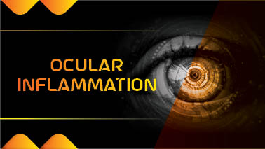 Peers Alley Media: Ocular Inflammation