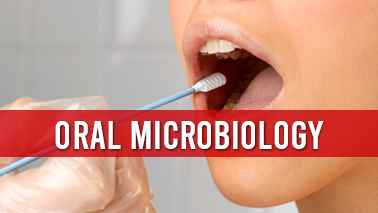 Peers Alley Media: Oral Microbiology