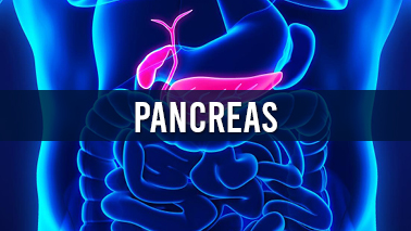 Peers Alley Media: Pancreas or Pancreatology 
