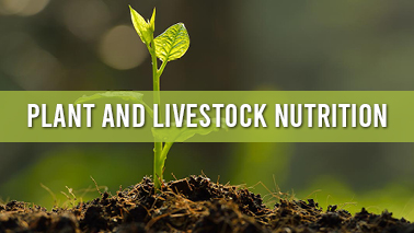 Peers Alley Media: Plant and Livestock Nutrition