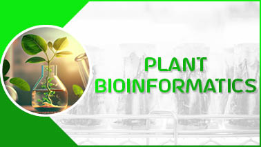 Peers Alley Media: Plant Bioinformatics