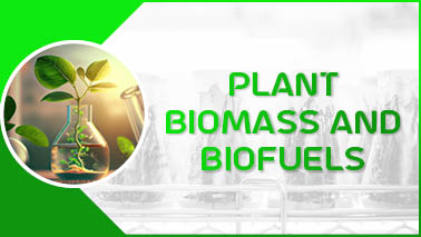 Peers Alley Media: Plant Biomass and Biofuels