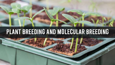Peers Alley Media: Plant Breeding and Molecular Breeding