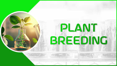 Peers Alley Media: Plant Breeding